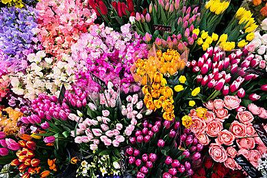 《NBA 2K24》PC配置公布 硬盘需求110G